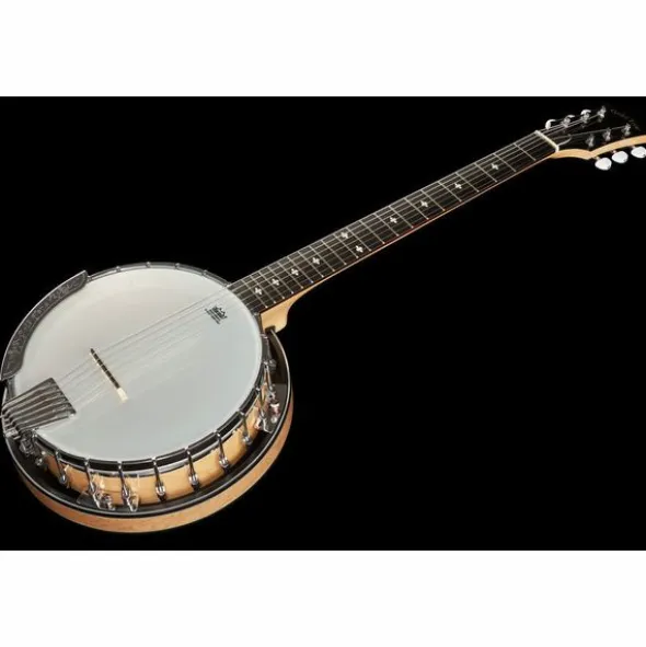 Gold Tone GT-500 6 String Banjitar
