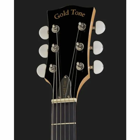 Gold Tone GT-500 6 String Banjitar