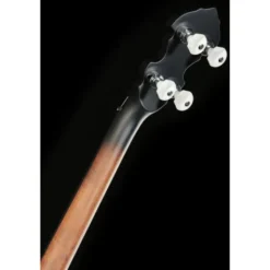 Gold Tone Irish Tenor Banjo 12"