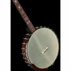 Gold Tone Irish Tenor Banjo 12