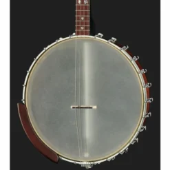 Gold Tone Irish Tenor Banjo 12