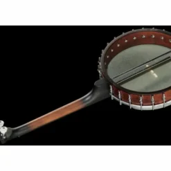 Gold Tone Irish Tenor Banjo 12