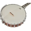 Gold Tone Irish Tenor Banjo 11" IT-250