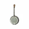 Gold Tone IT-250-F Irish Tenor B B-Stock