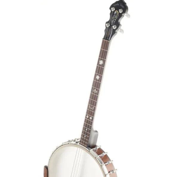 Gold Tone IT-19 Irish Tenor Banjo w/Bag