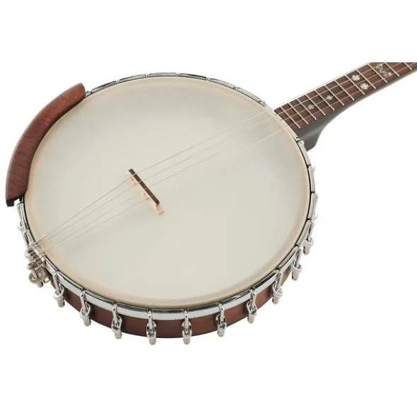 Gold Tone IT-19 Irish Tenor Banjo w/Bag
