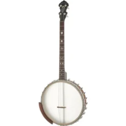 Gold Tone IT-19 Irish Tenor Banjo w/Bag