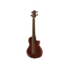 Gold Tone ME-BASS/Fretless B-Stock