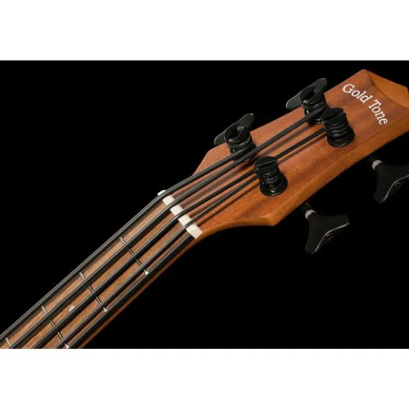 Gold Tone Micro Bass 25 w/Bag
