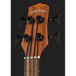 Gold Tone Micro Bass 25 w/Bag
