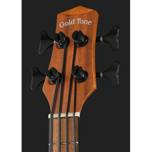 Gold Tone Micro Bass 25 w/Bag