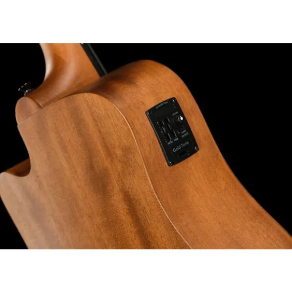Gold Tone Micro Bass 25 w/Bag