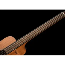 Gold Tone Micro Bass 25 w/Bag