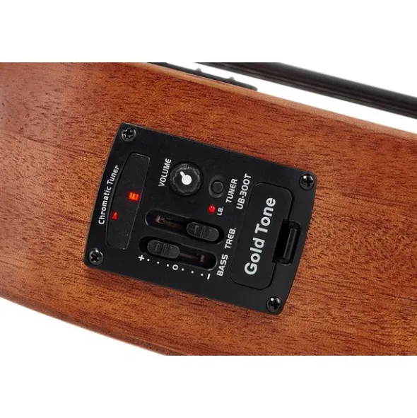 Gold Tone Micro Bass 23 w/Bag