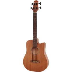 Gold Tone Micro Bass 23 w/Bag