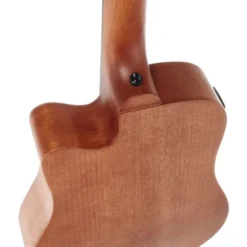 Gold Tone Micro Bass 23 w/Bag
