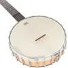 Gold Tone MM-150 Mountain Banjo w/Case