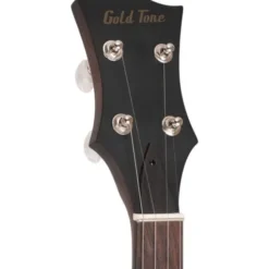 Gold Tone OB-100 Orange Blossom Banjo