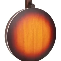 Gold Tone OB-100 Orange Blossom Banjo
