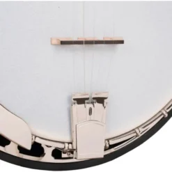 Gold Tone OB-100 Orange Blossom Banjo
