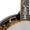 Gold Tone OB-300 Orange Blossom Master
