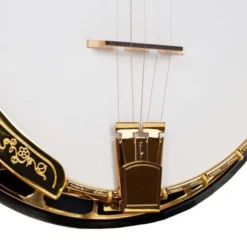 Gold Tone OB-300 Orange Blossom Master
