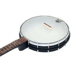 Gold Tone Openback 5-String Banjo 12“