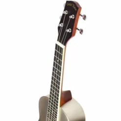 Gold Tone Resouke Tenor