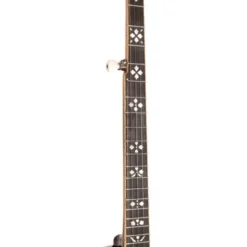 Gold Tone 5-String Orange Blossom LW