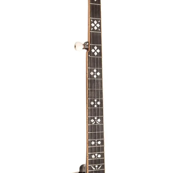 Gold Tone 5-String Orange Blossom LW