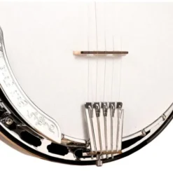 Gold Tone 5-String Orange Blossom LW