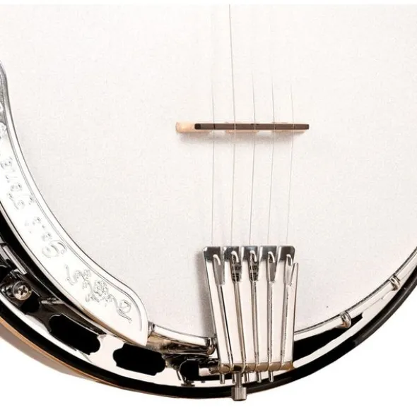 Gold Tone 5-String Orange Blossom LW