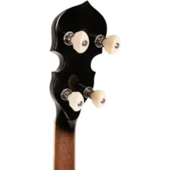 Gold Tone 5-String Orange Blossom LW