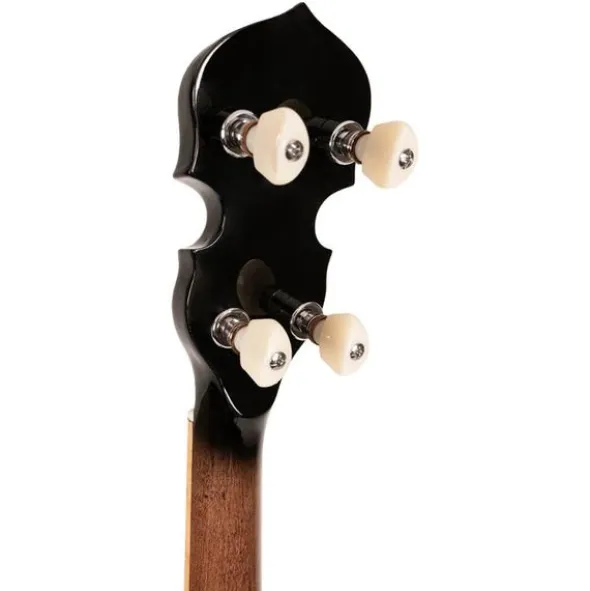 Gold Tone 5-String Orange Blossom LW