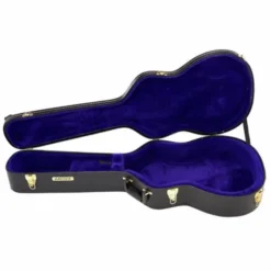 Gretsch G6296 Case