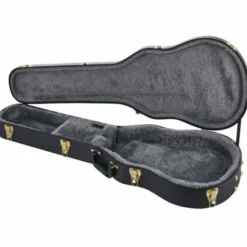 Gretsch G6238FT Case