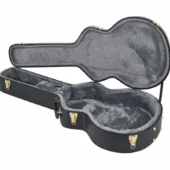 Gretsch G6241FT Case