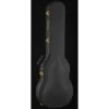 Gretsch G6134TG-58 LTD Custom Peng NE