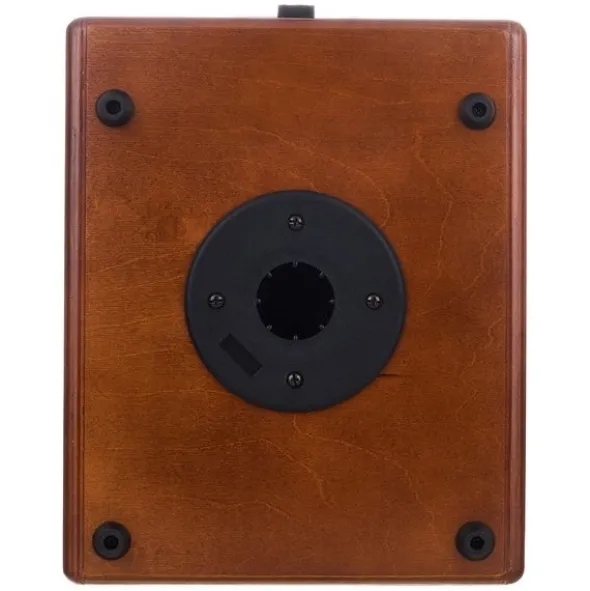 GRGuitar WDAC6 Acoustic Combo Wood