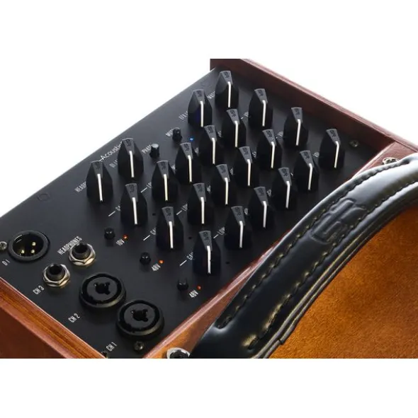 GRGuitar WDAC6 Acoustic Combo Wood
