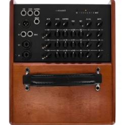 GRGuitar WDAC8 Acoustic Combo Wood