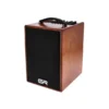 GRGuitar WDAC8 Acoustic Combo W B-Stock