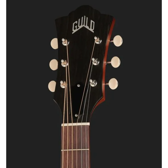 Guild D-20E NAT USA