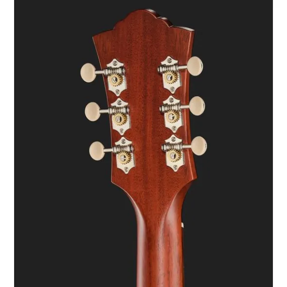 Guild D-20E NAT USA