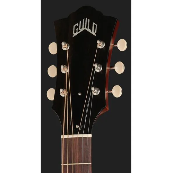 Guild D-40E Std NAT USA