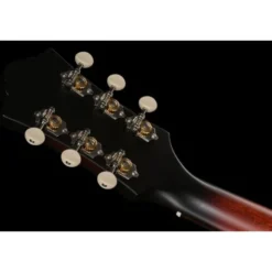 Guild D-20E VSB USA