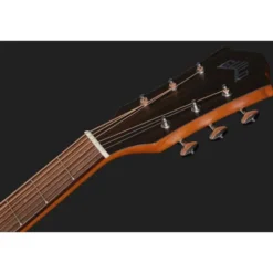 Guild D-320 Nat