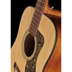 Guild D-340 Nat