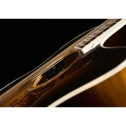 Guild F-250CE Deluxe ATB