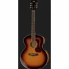 Guild F-250E Deluxe ATB